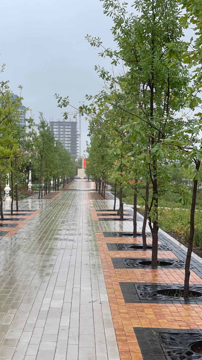 Приствольная решетка для дерева ZKING CRUST 1.2х1.2м Черная в Ялте фото