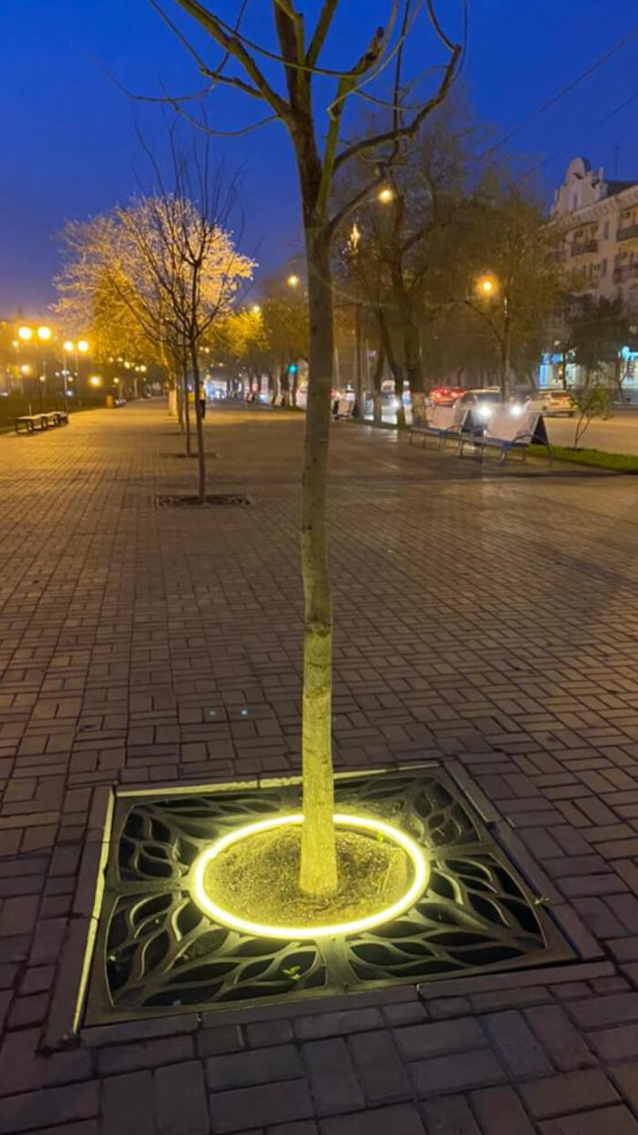 Приствольная решетка для дерева ZKING CRUST 1.2х1.2м Черная в Ялте фото